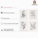Farmhouse Wall Art Botanical Prints – Vintage Flower Boho Minimalist Floral Poster Decor for Bedroom Living Kitchen Bathroom Home Office – Black and White Plant Leave Wall Art – Set of 4 Picture 8×10