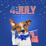 Summer Dog Collar Bow Flower Tie Blue Ice Cream Star Dog Collar, Comfortable Adjustable Puppy Collars with Secure Metal Buckle for Small Medium Large Pet