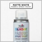 Tulip ColorShot Instant Fabric Spray Color 3oz. White