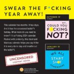 A F*cking 2024 Boxed Calendar: A Daily Dose of Zero F*cks (Funny Daily Desk Calendar, White Elephant Gag Gift for Adults) (Calendars & Gifts to Swear By)