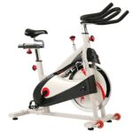 Sunny Health & Fitness Indoor Cycling Exercise Bike with SPD pedals – SF-B1509, White, 47 L x 20 W x 47 5 H