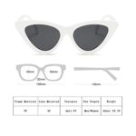 WZWLKJ Retro Vintage Narrow Cat Eye Sunglasses for Women Clout Goggles women sunglasses for Holiday beach outdoor
