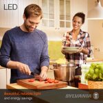 SYLVANIA ECO LED A19 Light Bulb, 60W Equivalent Efficient 9W, 7 Year, 750 Lumens, Medium Base, Frosted, 2700K, Soft White – 24 Count (Pack of 1)(40986)