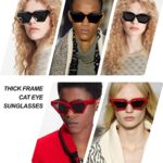 Breaksun Thick Frame Cat Eye Sunglasses for Women Vintage Trendy Cateye Sun Glasses Retro Style Shades (White)