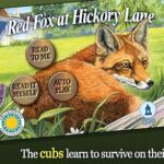 Red Fox at Hickory Lane – Smithsonian’s Backyard