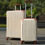 Merax Luggage Sets of 2 Suitcases With Wheels, Expandable and Lightweight, TSA Lock, Hardside Spinner Carry On Luggage (20inch 28inch White brown)