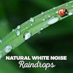 Downpour on the Patio