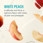 Liquid I.V.® Hydration Multiplier Sugar-Free – White Peach | Electrolyte Powder Drink Mix | 1 Pack (14 Servings)