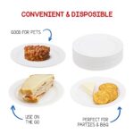 Hygloss Products Paper Plates – Uncoated White Plate – Use for Foodware, Events, Activities, Crafts Projects and More – Environmentally Friendly – Recyclable and Disposable – 6-Inches – 100 Pack