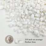 FANTIAN White Pebbles for Indoor Plants, 3/8 Inch Decorative White Stones. Polished River Rocks for Potted Plants Vase Cactus Bird Bath and Outdoor Garden Landscaping
