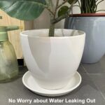 EPFamily Plant Pot Saucer 10 Inch – Ceramic Plant Saucer for Outdoors, Plant Drip Tray for Indoors, Large Plant Water Catcher Tray, Round Flower Pot Saucer, Plant Dish, White