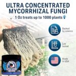 Great White Mycorrhizal Fungi Root Stimulator 9-Strain 387 Spores/gram, 6 Million CFU/gram Bacteria, 2-Strains Trichoderma, Plant Success, Mycorrhizae, Treats 8,000 Plants, Concentrated 3-in-1 Formula