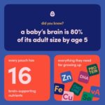 Cerebelly Organic Baby Food Pouches – Organic Butternut Squash White Bean Purees for Toddlers | No Added Sugar, Fiber, Non-GMO | Blended Puree Pouches | 4oz BPA-Free Baby Food | 6 Pack