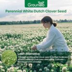 Groundio Perennial White Dutch Clover Seeds for Lawn, 2 lbs, Ground Cover Clover, Nitrocoated and Inoculated Seeds, Attracts Pollinators