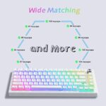 Womier Pudding Keycaps, PBT Shine Through Keycaps 165 Keys Set Custom Key caps Set OEM Profile, Universal Compatiability for 100%, 75%, 65%, 60% Keyboard-White