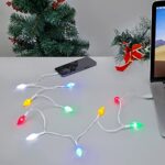 LED Christmas Light iPhone Charger Cord USB C Type C Charging Cable Gift for iPhone 17/16/16 Pro/15/15 Pro/15 Pro Max/iPad/Samsung with 10 Lights Christmas Decorations (1, White)