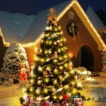 ROSCOO 300 LED String Lights Outdoor, 100FT Warm White Christmas Lights for Outside with Remote, Timer Memory Function, 8 Modes Waterproof Fairy Lights Plug in, for Xmas Tree Bedroom Patio Party