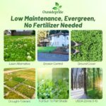 Outsidepride Perennial White Dutch Clover Seed – 40 lbs. Nitrocoated, Inoculated for Lawn Alternative, Erosion Control, Food Plots, Ground Cover, & Pasture Mixtures in USDA Zones 3-10